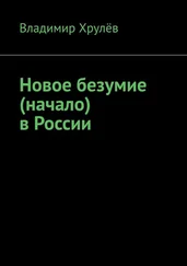 Владимир Хрулёв - Новое безумие (начало) в России