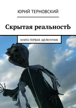 Юрий Терновский Скрытая реальностЬ. Книга первая. Щелкунчик обложка книги