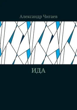 Александр Чигаев Ида обложка книги