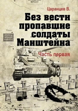 Владимир Царанцев Без вести пропавшие солдаты Манштейна. Часть первая обложка книги