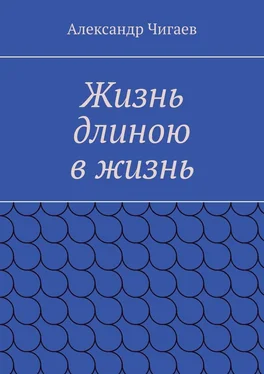 Александр Чигаев Жизнь длиною в жизнь обложка книги