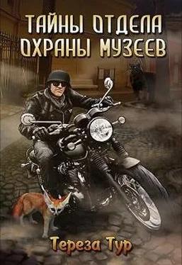 Тереза Тур Тайны отдела охраны музеев обложка книги