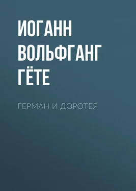 Иоганн Вольфганг Гёте Герман и Доротея обложка книги