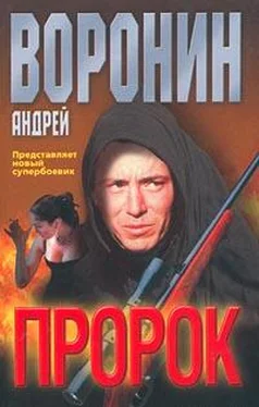 Андрей Воронин Пророк обложка книги