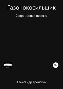 Александр Гронский Газонокосильщик обложка книги