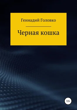 Геннадий Головко Черная кошка обложка книги