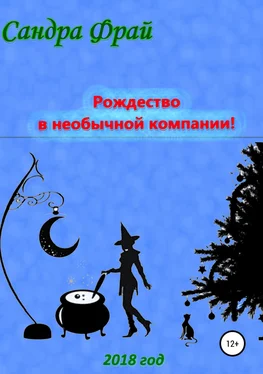 Сандра Фрай Рождество в необычной компании! обложка книги