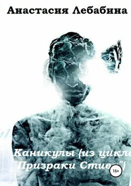Анастасия Лебабина Каникулы обложка книги