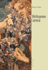 Анна Бру - Неведомо зачем