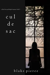 Блейк Пирс - Cul de Sac