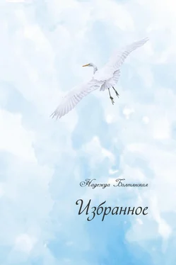 Надежда Болтянская Избранное обложка книги