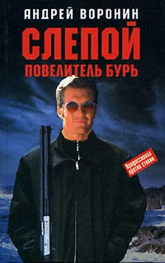 Андрей Воронин Повелитель бурь обложка книги