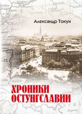 Александр Токун Хроники Остунгславии обложка книги