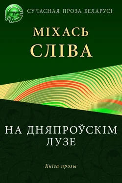 Міхась Сліва На дняпроўскім лузе обложка книги