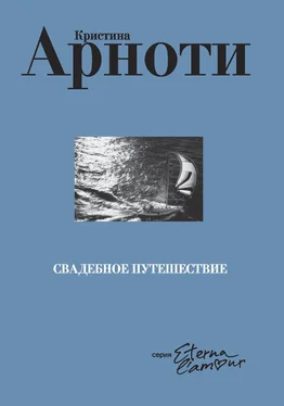 Кристина Арноти Свадебное путешествие обложка книги