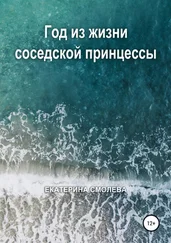 Екатерина Смолева - Год из жизни соседской принцессы