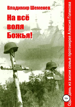 Владимир Шеменев На всё воля Божья! обложка книги