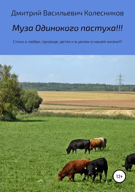 Дмитрий Колесников Муза Одинокого пастуха!!! обложка книги