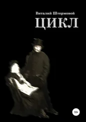 Виталий Штормовой - Цикл