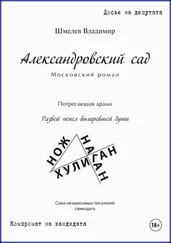 Владимир Шмелев - Александровский сад. Московский роман