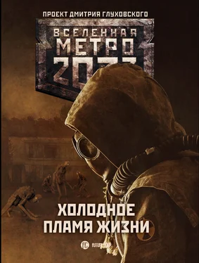 Павел Старовойтов Метро 2033: Холодное пламя жизни (сборник) обложка книги