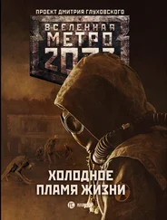 Павел Старовойтов - Метро 2033 - Холодное пламя жизни (сборник)
