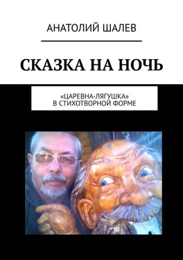Анатолий Шалев Сказка на ночь. «Царевна-лягушка» в стихотворной форме обложка книги