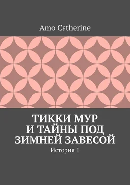 Amo Catherine Тикки Мур и Тайны под зимней завесой. История 1 обложка книги