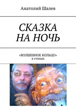 Анатолий Шалев Сказка на ночь. «Волшебное кольцо» в стихах обложка книги