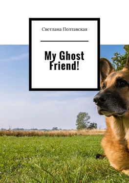 Светлана Полтавская My Ghost Friend! обложка книги