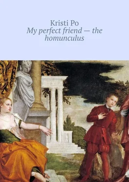 Kristi Po My perfect friend – the homunculus обложка книги