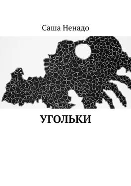 Саша Ненадо Угольки обложка книги
