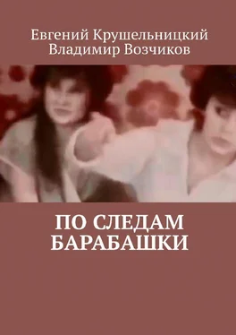 Владимир Возчиков По следам Барабашки обложка книги