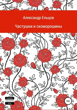 Александр Ельцов Частушки и скоморошины обложка книги