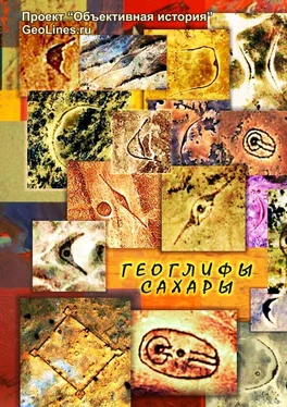 Тамара Борисова Геоглифы Сахары. Проект «Объективная история» обложка книги