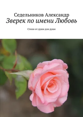 Седельников Александр Зверек по имени Любовь. Стихи от души для души обложка книги
