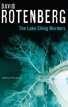 David Rotenberg The Lake Ching murders обложка книги
