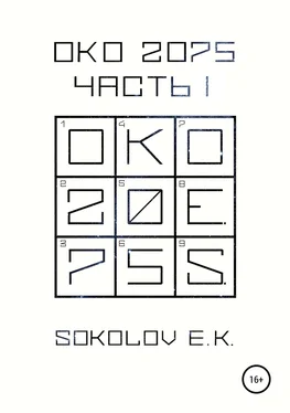 Евгений Соколов ОКО:2075. Часть 1 обложка книги