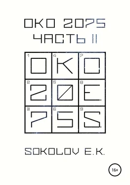 Евгений Соколов ОКО 2075. Часть 2 обложка книги