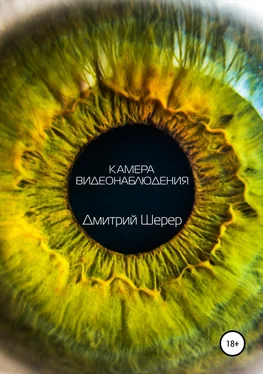 Дмитрий Шерер Камера видеонаблюдения обложка книги