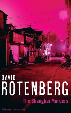 David Rotenberg The Shanghai Murders обложка книги