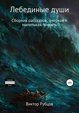 Виктор Рубцов Лебединые души. Сборник рассказов и маленькая повесть обложка книги