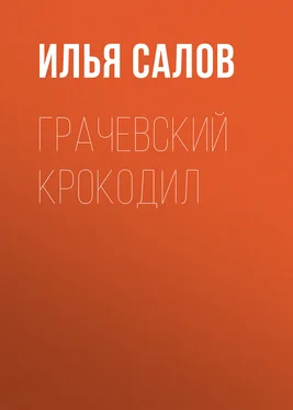 Илья Салов Грачевский крокодил обложка книги