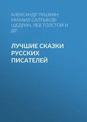 Михаил Михайлов - Лучшие сказки русских писателей