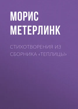 Морис Метерлинк Стихотворения из сборника «Теплицы» обложка книги