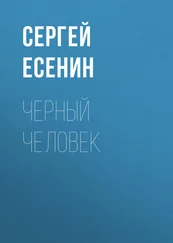 Сергей Есенин - Черный человек