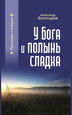 Александр Богатырев У Бога и полынь сладка (сборник) обложка книги
