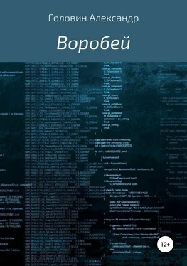 Александр Головин Воробей обложка книги