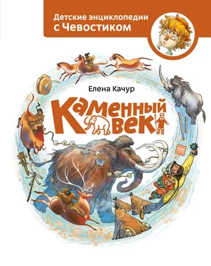 Елена Качур Каменный век обложка книги