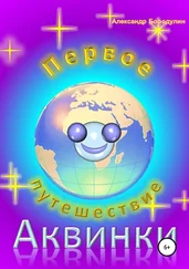 Александр Бородулин - Первое путешествие Аквинки